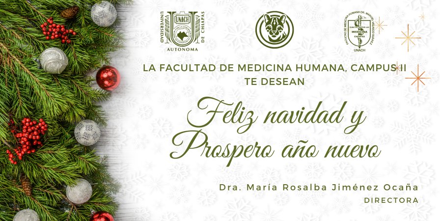 ¡Felices fiestas 2025!